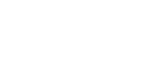 Cercetașii României